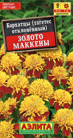 Бархатцы Золото Маккены отклоненные (Аэлита) - Сезон у Дачи