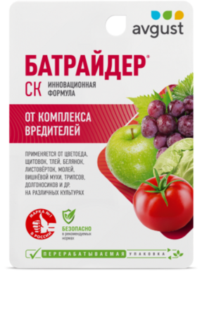 Батрайдер 10мл - Сезон у Дачи