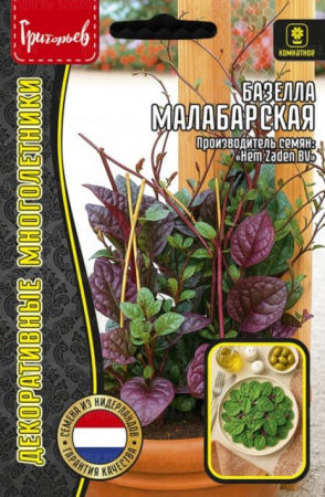 Базелла Малабарская (Григорьев) - Сезон у Дачи