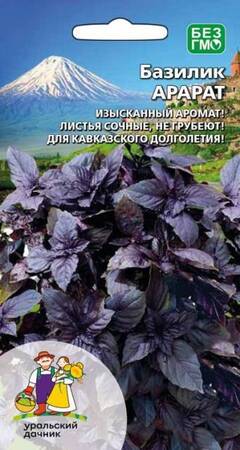 Базилик Арарат (УД) - Сезон у Дачи