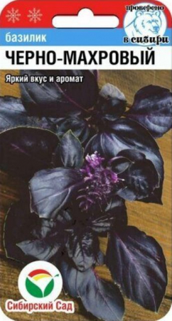 Базилик Черно-махровый (Сибирский сад) - Сезон у Дачи