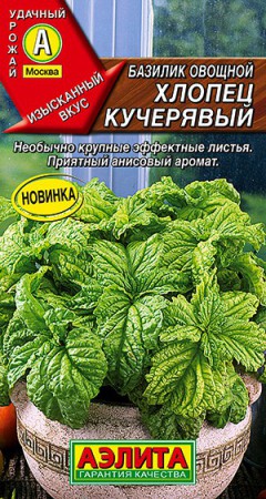 Базилик овощной Хлопец кучерявый 0,2гр (Аэлита) - Сезон у Дачи