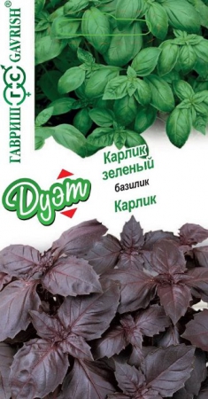 Базилик Карлик 0,15г+Карлик зеленый 0,15г серия Дуэт (Гавриш) - Сезон у Дачи