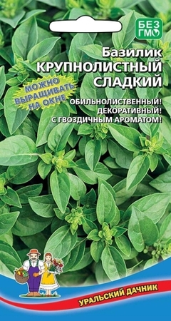 Базилик Крупнолистный Сладкий (УД) - Сезон у Дачи