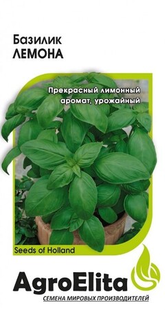 Базилик Лемона /Энза Заден (Агроэлита) - Сезон у Дачи
