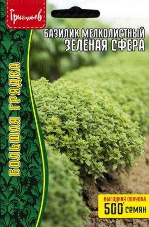 Базилик Зелёная Сфера мелколистный (Григорьев) - Сезон у Дачи