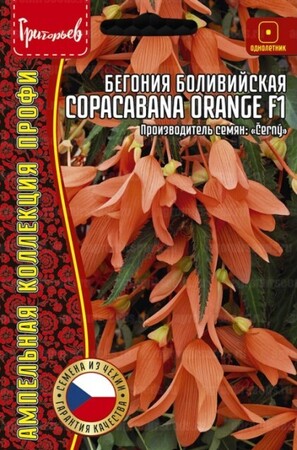 Бегония Копакабана Orange F1 боливийская ампельная - Сезон у Дачи