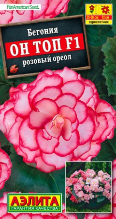 Бегония Он Топ F1 Розовый ореол - Сезон у Дачи