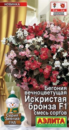 Бегония вечноцветущая Искристая бронза F1 смесь (Аэлита) - Сезон у Дачи