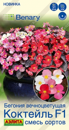 Бегония вечноцветущая Коктейль F1 смесь (Аэлита) - Сезон у Дачи