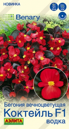 Бегония вечноцветущая Коктейль F1 водка (Аэлита) - Сезон у Дачи