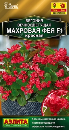 Бегония вечноцветущая махровая Фея F1 красная (Аэлита) - Сезон у Дачи