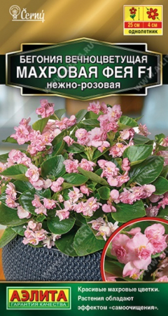 Бегония вечноцветущая махровая Фея F1 нежно-розовая (Аэлита) - Сезон у Дачи