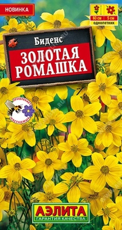 Биденс Золотая ромашка (Аэлита) - Сезон у Дачи