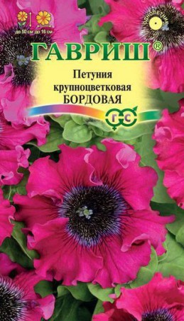 Петуния Бордовая крупноцветковая - Сезон у Дачи