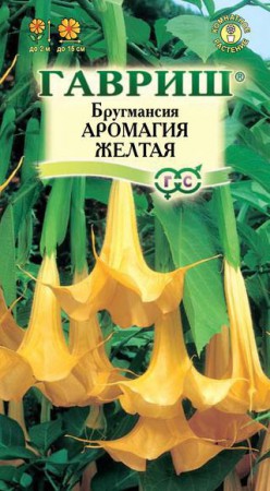 Бругмансия Аромагия желтая - Сезон у Дачи