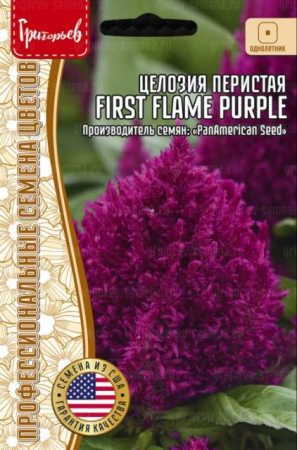 Целозия First Flame Purple перистая (Григорьев) - Сезон у Дачи