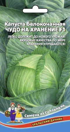 Капуста б/к Чудо на хранение F1 (УД) - Сезон у Дачи