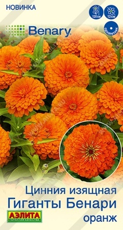 Цинния Гиганты Бенари Оранж (Аэлита) - Сезон у Дачи