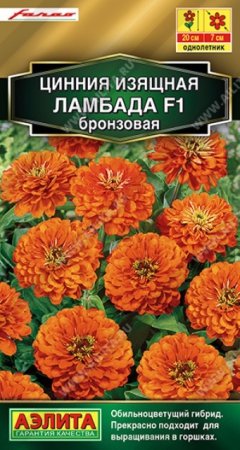 Цинния Ламбада F1 бронзовая (Аэлита) - Сезон у Дачи