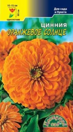 Цинния Оранжевое Солнце (ЦС) - Сезон у Дачи