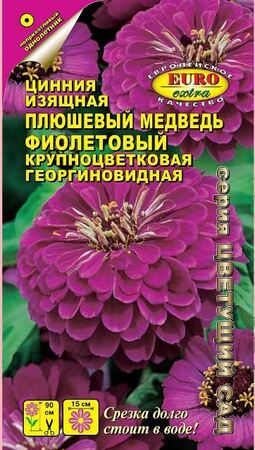 Цинния Плюшевый медведь фиолетовый (Аэлита Экстра) - Сезон у Дачи