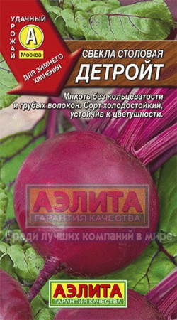 Свекла Детройт - Сезон у Дачи