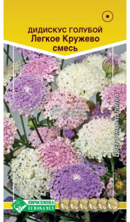 Дидискус голубой Легкое кружево смесь (Евросемена) - Сезон у Дачи