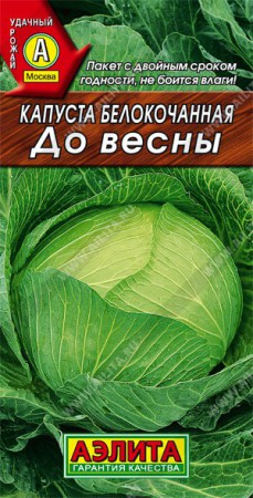 Капуста б/к До весны - Сезон у Дачи