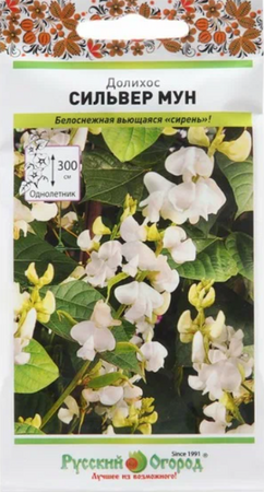 Долихос Сильвер Мун (НК) - Сезон у Дачи