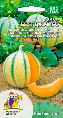 Дыня Бест джумбо (УД) - Сезон у Дачи