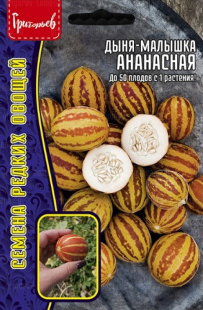 Дыня-малышка Ананасная (Григорьев) - Сезон у Дачи