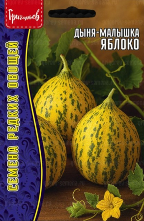 Дыня-малышка Яблоко (Apple) (Григорьев) - Сезон у Дачи