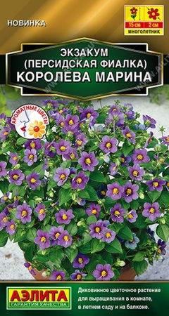 Экзакум Королева Марина (Аэлита) - Сезон у Дачи