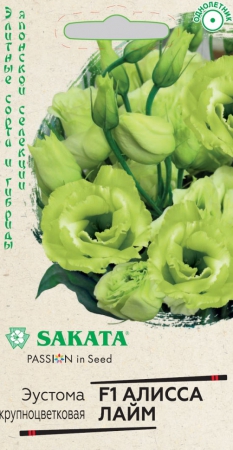Эустома Алисса лайм F1 крупноцветковая (Саката) - Сезон у Дачи