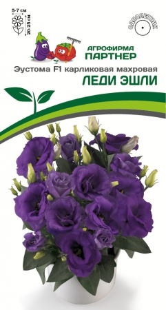 Эустома Леди Эшли F1 - Сезон у Дачи