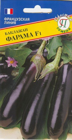 Баклажан Фарама F1 (Престиж) - Сезон у Дачи