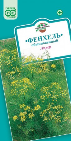 Фенхель обыкновенный Лидер (Гавриш) - Сезон у Дачи