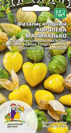 Физалис ягодный Королева Малиналько (УД) - Сезон у Дачи