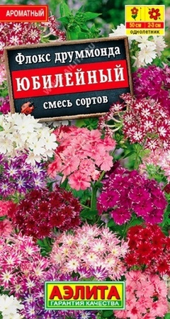 Флокс друммонда Юбилейный смесь (Аэлита) - Сезон у Дачи