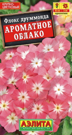 Флокс крупноцветковый Ароматное облако (Аэлита) - Сезон у Дачи