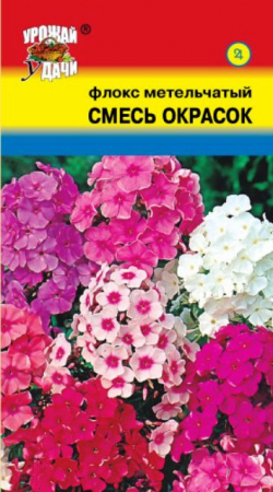 Флокс Метельчатый смесь 0,05гр (УУД) - Сезон у Дачи
