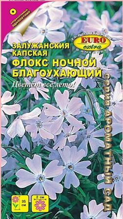 Флокс Ночной благоухающий (Аэлита Экстра) - Сезон у Дачи