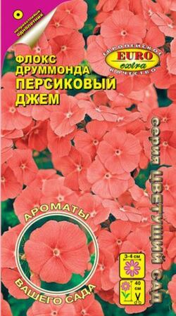 Флокс Персиковый джем Друммонди (Аэлита Экстра) - Сезон у Дачи
