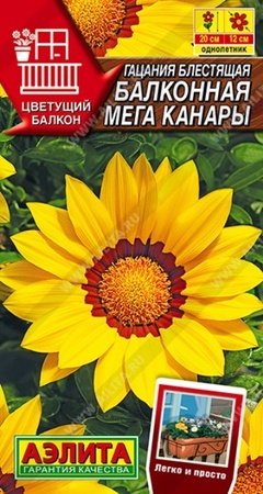 Гацания Балконная Мега Канары (Аэлита) - Сезон у Дачи