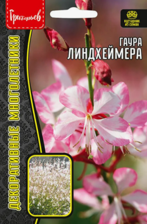 Гаура Линдхеймера (ИП Григорьев) - Сезон у Дачи