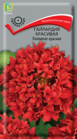 Гайлардия Лоллипап красная (Поиск) - Сезон у Дачи