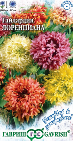 Гайлардия Лоренциана смесь /Устойчив к заморозкам (Гавриш) - Сезон у Дачи