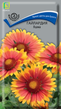 Гайлардия Яшма (Пиоск) - Сезон у Дачи