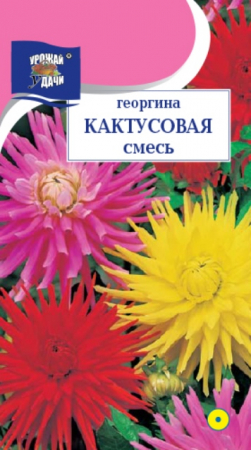 Георгина Кактусовая смесь (УУ) - Сезон у Дачи